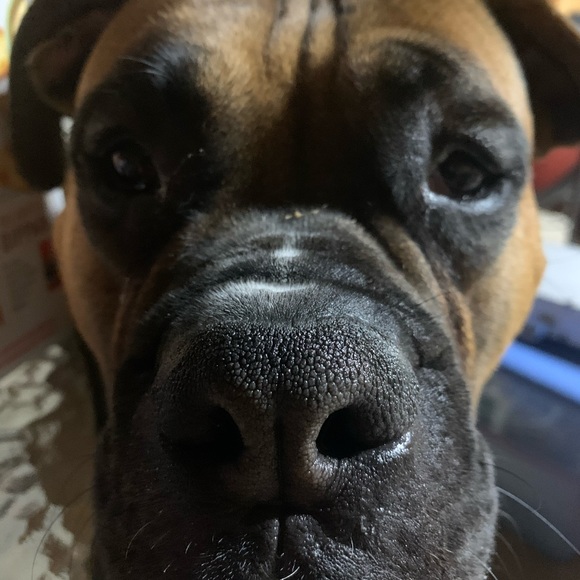 Meet your Posher, Jonathan - Picture 1 of 1